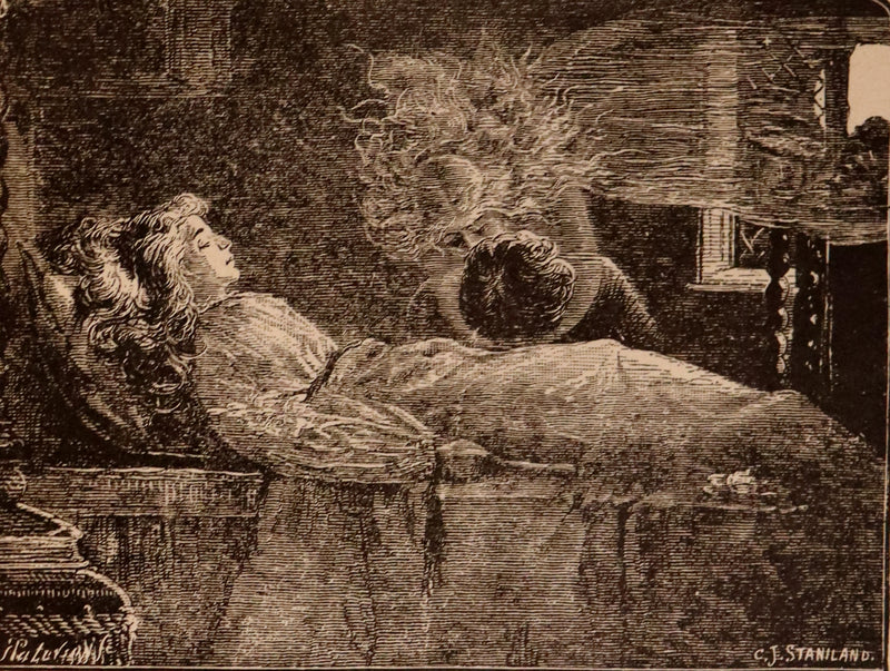 1882 Rare Book - Poems of EDGAR ALLAN POE with a full and impartial Memoir of the Poet.