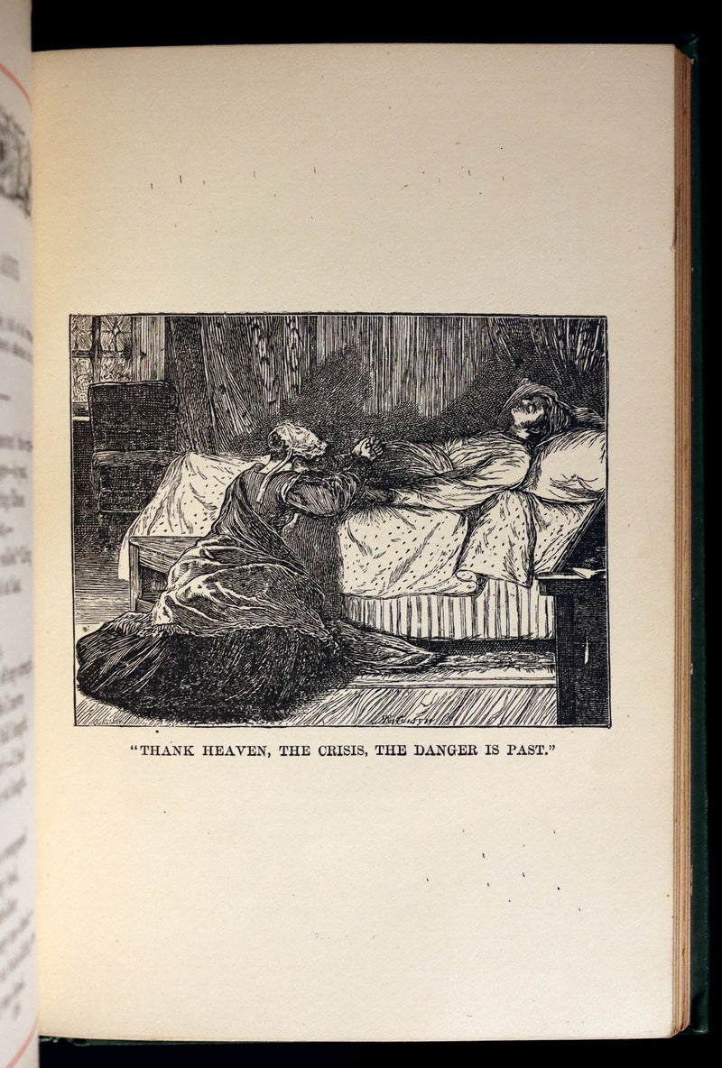 1882 Rare Book - Poems of EDGAR ALLAN POE with a full and impartial Memoir of the Poet.