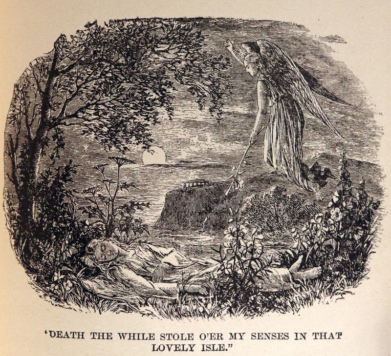 1882 Rare Book - Poems of EDGAR ALLAN POE with a full and impartial Memoir of the Poet.