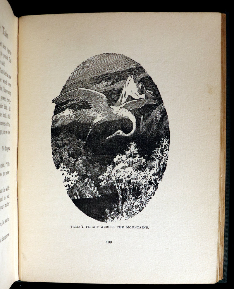 1913 Rare First Edition - MAORILAND FAIRY TALES by Edith Howes - New Zealand Maori Tales.