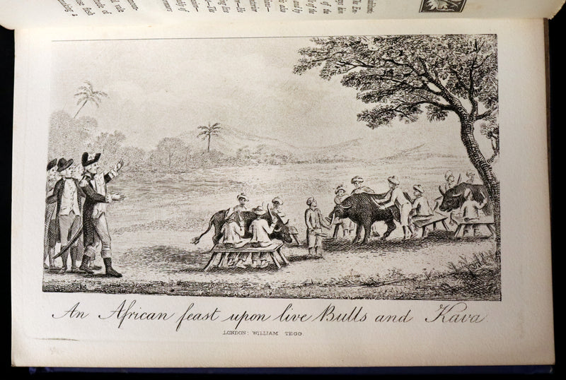 1877 Rare Book - The Travels and Surprising Adventures of Baron MUNCHAUSEN. Illustrated by Cruikshank.