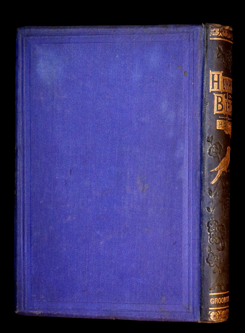 1856 Scarce Ornithology Book ~ HUMMING BIRDS described & Color Illustrated. By Henry Gardiner Adams.