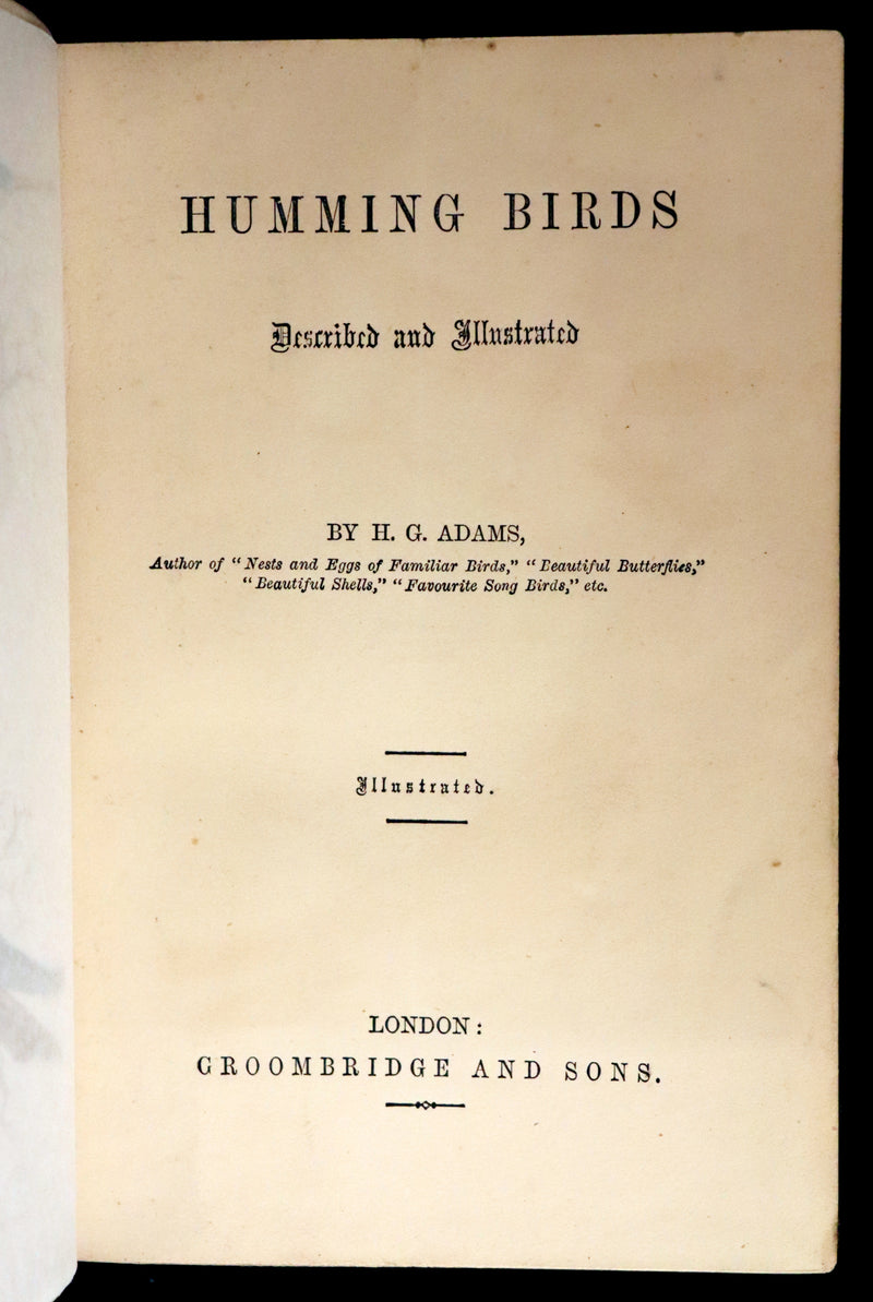 1856 Scarce Ornithology Book ~ HUMMING BIRDS described & Color Illustrated. By Henry Gardiner Adams.