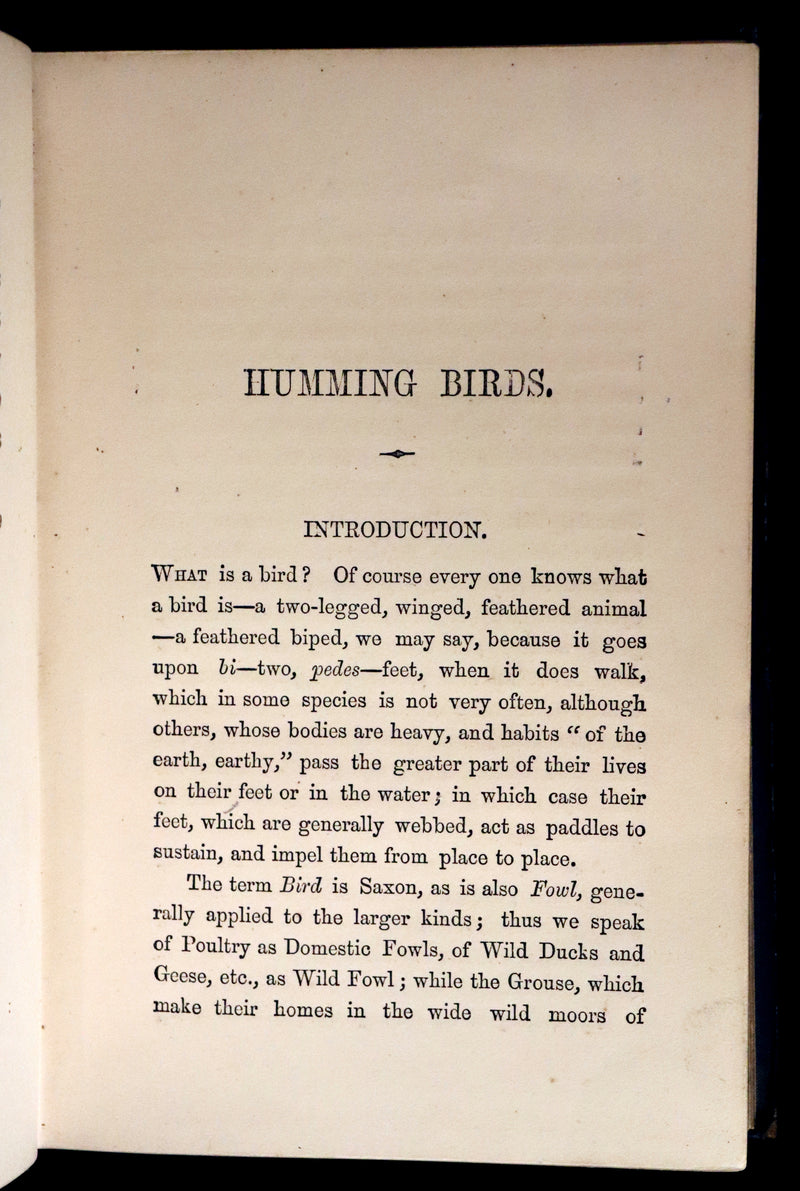 1856 Scarce Ornithology Book ~ HUMMING BIRDS described & Color Illustrated. By Henry Gardiner Adams.
