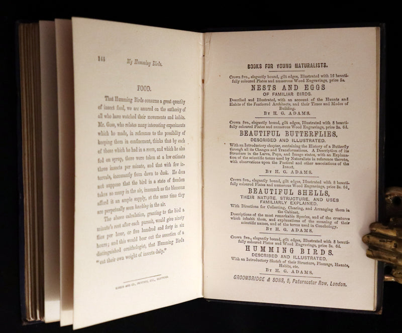 1856 Scarce Ornithology Book ~ HUMMING BIRDS described & Color Illustrated. By Henry Gardiner Adams.