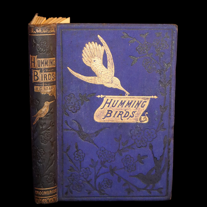 1856 Scarce Ornithology Book ~ HUMMING BIRDS described & Color Illustrated. By Henry Gardiner Adams.