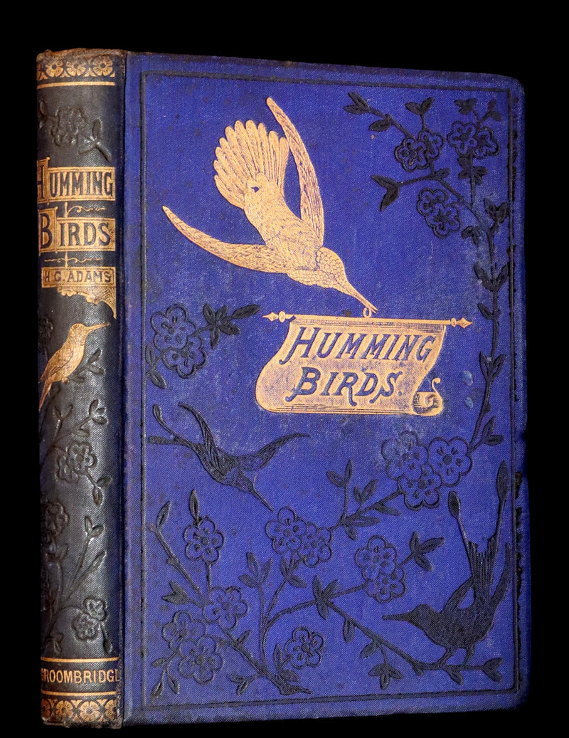 1856 Scarce Ornithology Book ~ HUMMING BIRDS described & Color Illustrated. By Henry Gardiner Adams.
