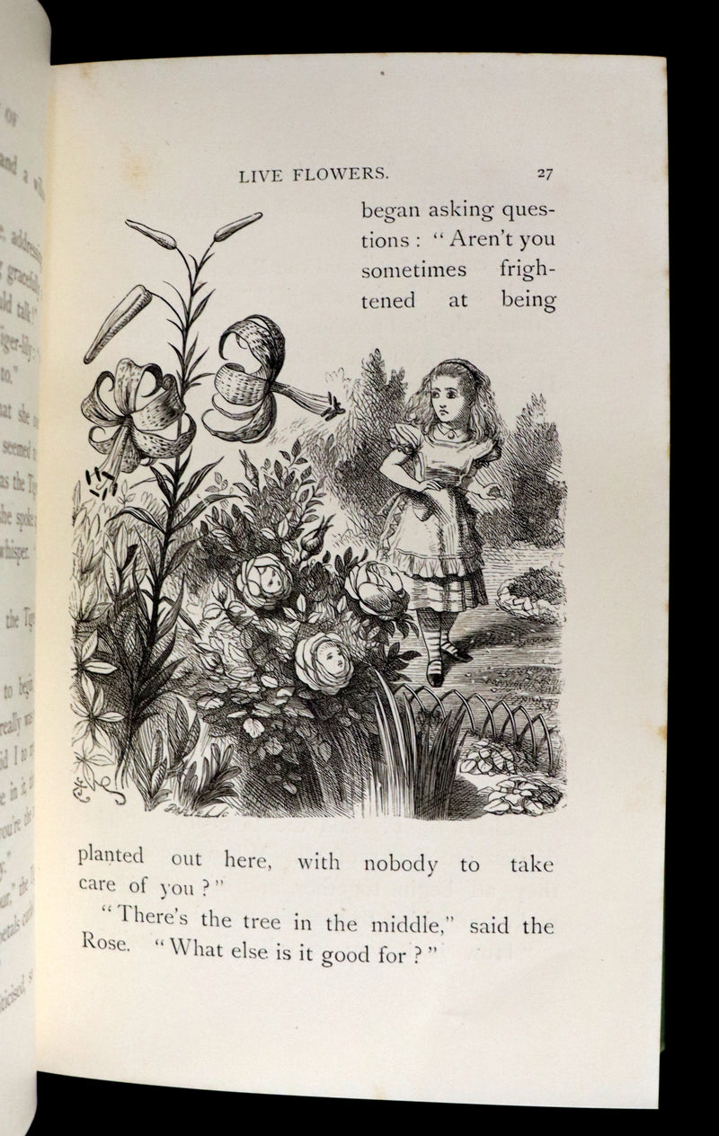 1887 Rare Victorian Book - Through the Looking Glass, and What Alice Found There by Lewis Carroll.