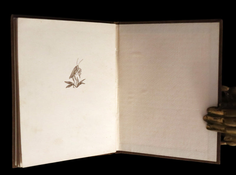 1936 Scarce First Edition - THE GNOME'S ALMANACK by Ida Bohatta translated by June Head.