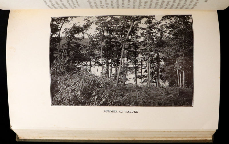 1893 Scarce Edition - WALDEN or, Life in the Woods by Henry David Thoreau with Photogravures.