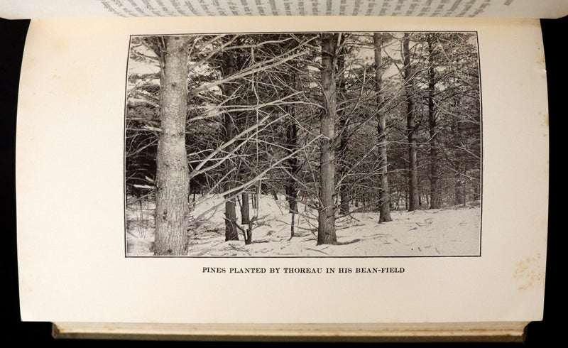 1893 Scarce Edition - WALDEN or, Life in the Woods by Henry David Thoreau with Photogravures.