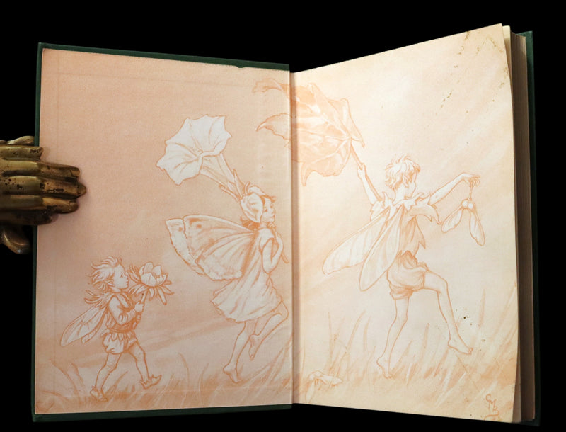 1950 Rare Cicely Mary Barker Book - FAIRIES OF THE FLOWERS AND TREES. First Edition.