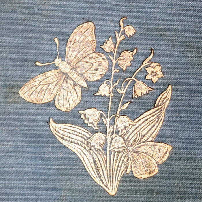 1860 Scarce Book - British Butterflies, Figures and Descriptions of Every Native Species by W. S. Coleman.