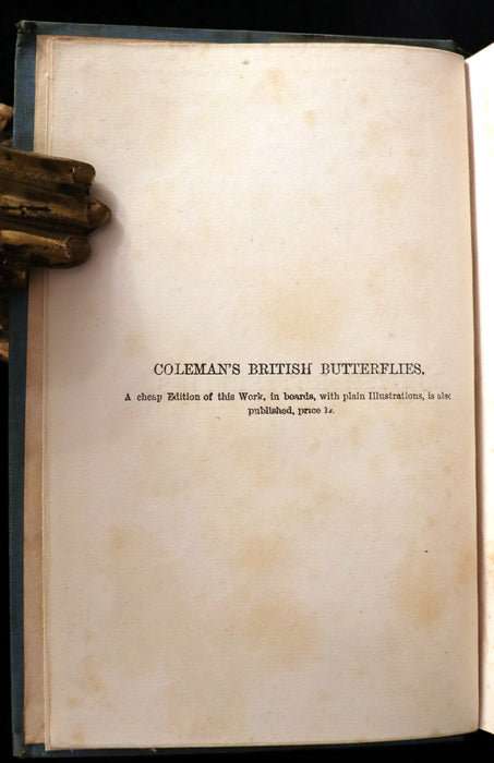 1860 Scarce Book - British Butterflies, Figures and Descriptions of Every Native Species by W. S. Coleman.