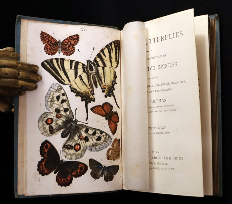 1860 Scarce Book - British Butterflies, Figures and Descriptions of Every Native Species by W. S. Coleman.