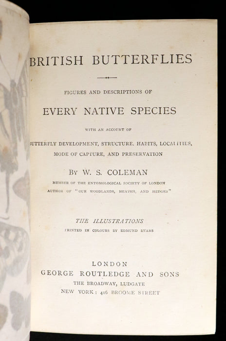 1860 Scarce Book - British Butterflies, Figures and Descriptions of Every Native Species by W. S. Coleman.