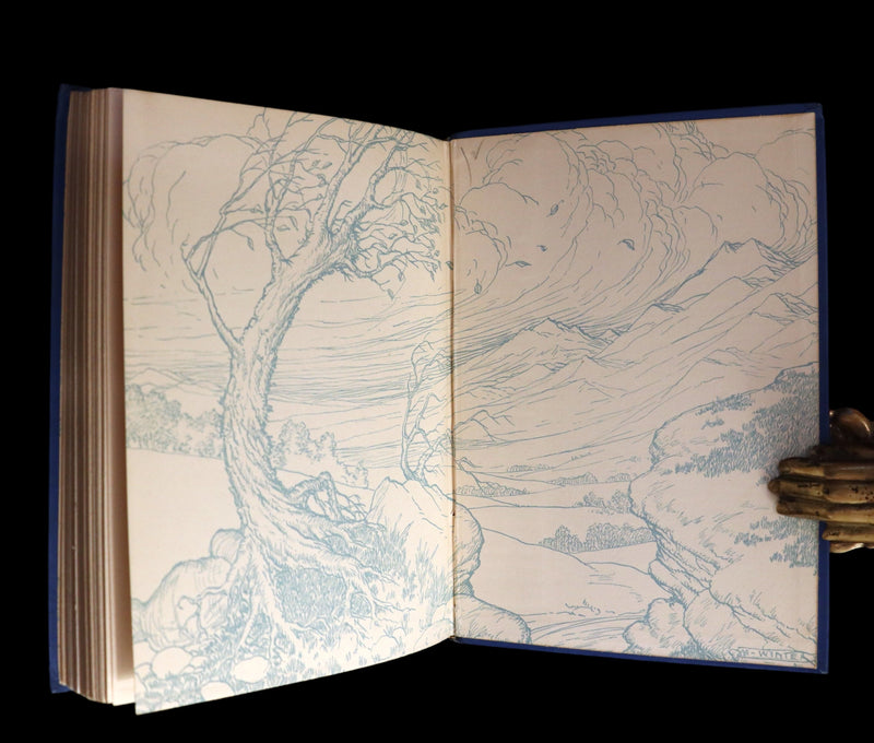 1916 Scarce Windermere Edition - Alice's Adventures in Wonderland & Through the Looking-Glass illustrated by Milo Winter.