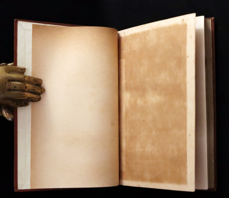 1875 Rare Victorian Book - The LAMPLIGHTER by Maria Susanna Cummins.