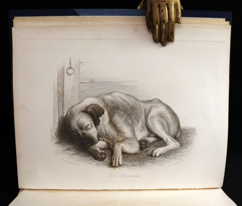 1862 Rare Dog Story in a Bayntun Binding - Rab and His Friends illustrated by Dr John Brown.