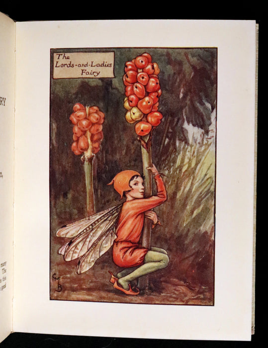 1930 Rare Book - Cicely Mary Barker - FLOWER FAIRIES OF THE AUTUMN.