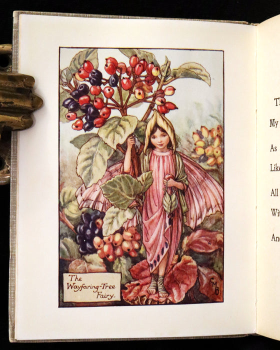 1930 Rare Book - Cicely Mary Barker - FLOWER FAIRIES OF THE AUTUMN.