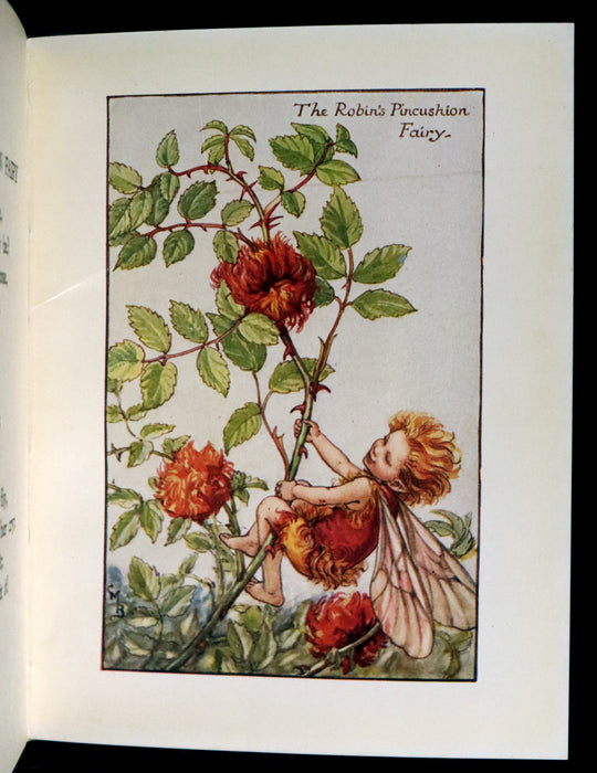 1930 Rare Book - Cicely Mary Barker - FLOWER FAIRIES OF THE AUTUMN.