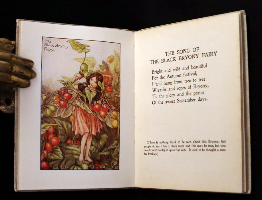 1930 Rare Book - Cicely Mary Barker - FLOWER FAIRIES OF THE AUTUMN.