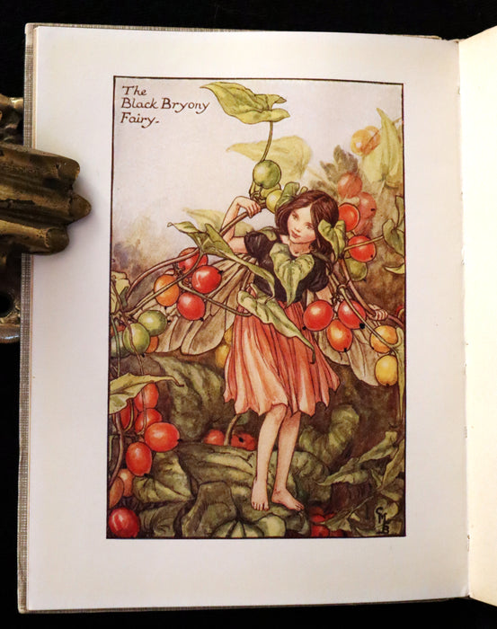 1930 Rare Book - Cicely Mary Barker - FLOWER FAIRIES OF THE AUTUMN.