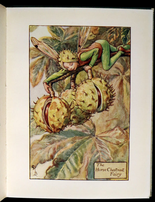 1930 Rare Book - Cicely Mary Barker - FLOWER FAIRIES OF THE AUTUMN.