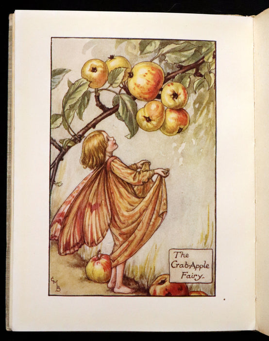 1930 Rare Book - Cicely Mary Barker - FLOWER FAIRIES OF THE AUTUMN.