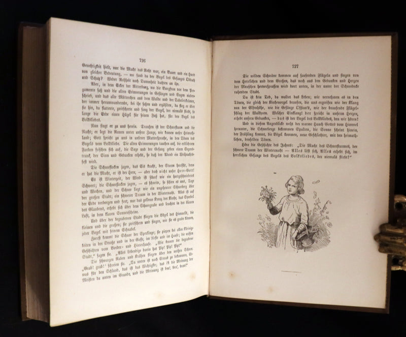 1888 Rare German Book - Hans Christian Andersen - Sammtliche Marchen - Complete FAIRY TALES. Illustrated.
