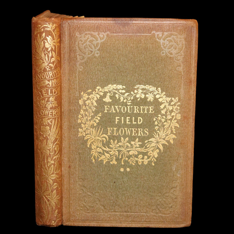 1850 Rare Victorian Book ~ Favourite Field Flowers, or, Wild Flowers of England Popularly Described by Robert Tyas.