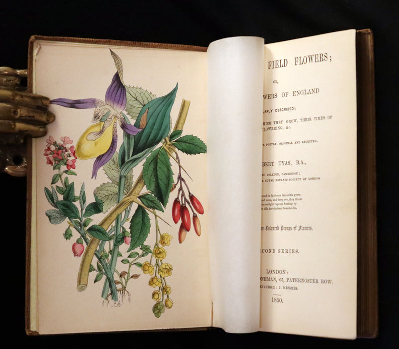 1850 Rare Victorian Book ~ Favourite Field Flowers, or, Wild Flowers of England Popularly Described by Robert Tyas.