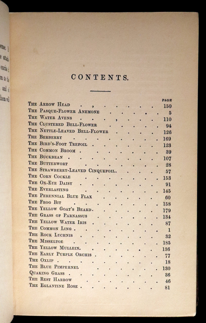 1850 Rare Victorian Book ~ Favourite Field Flowers, or, Wild Flowers of England Popularly Described by Robert Tyas.