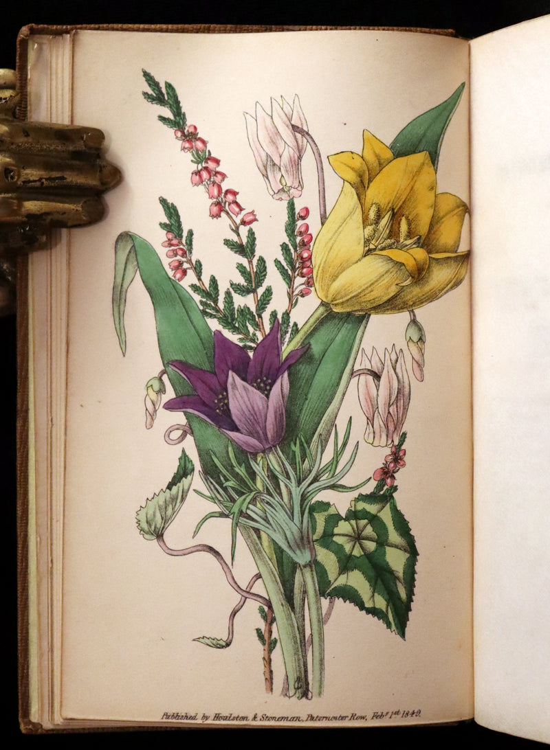 1850 Rare Victorian Book ~ Favourite Field Flowers, or, Wild Flowers of England Popularly Described by Robert Tyas.