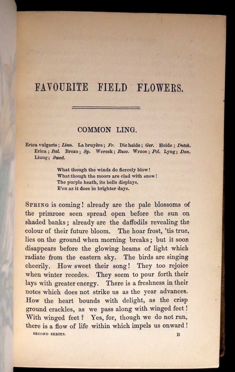 1850 Rare Victorian Book ~ Favourite Field Flowers, or, Wild Flowers of England Popularly Described by Robert Tyas.