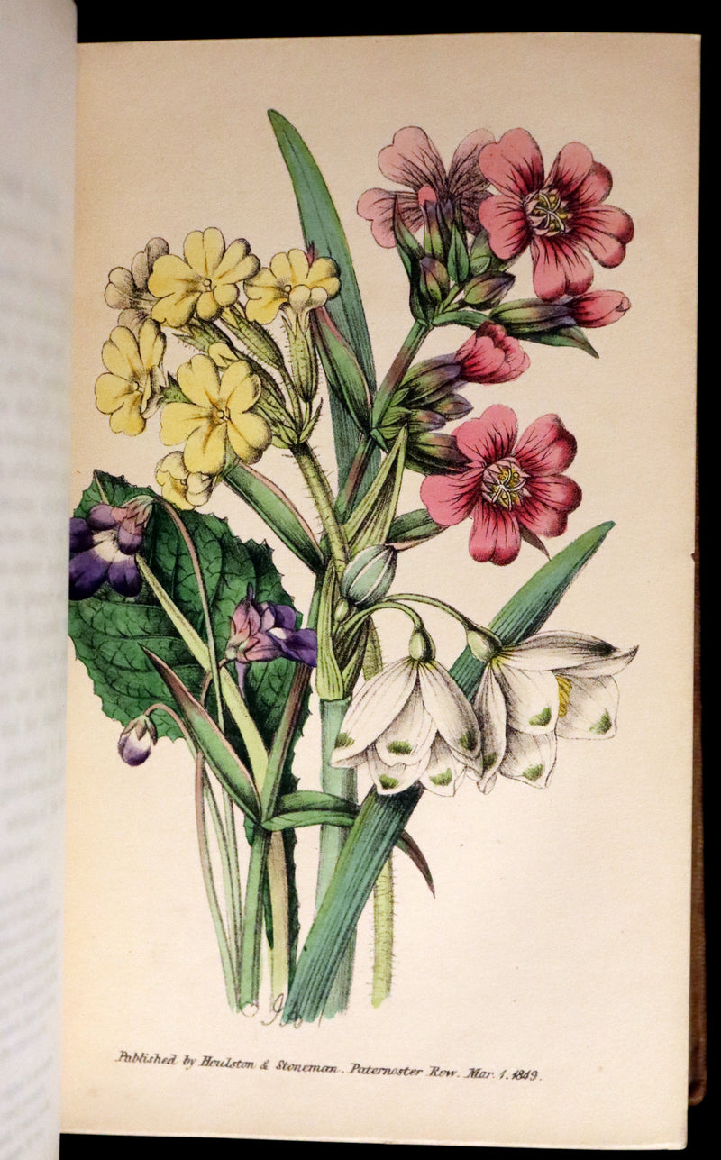 1850 Rare Victorian Book ~ Favourite Field Flowers, or, Wild Flowers of England Popularly Described by Robert Tyas.