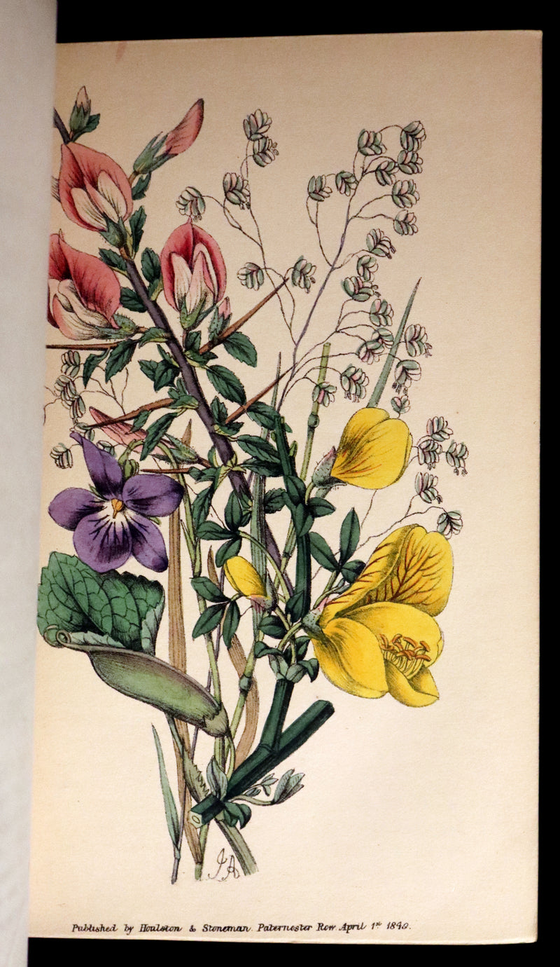 1850 Rare Victorian Book ~ Favourite Field Flowers, or, Wild Flowers of England Popularly Described by Robert Tyas.