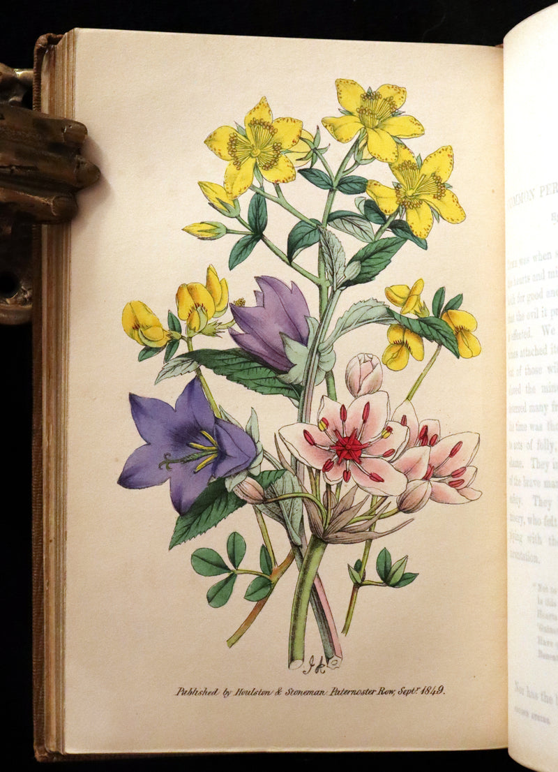 1850 Rare Victorian Book ~ Favourite Field Flowers, or, Wild Flowers of England Popularly Described by Robert Tyas.