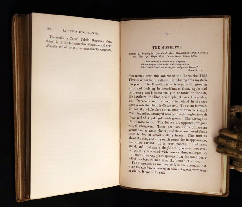 1850 Rare Victorian Book ~ Favourite Field Flowers, or, Wild Flowers of England Popularly Described by Robert Tyas.