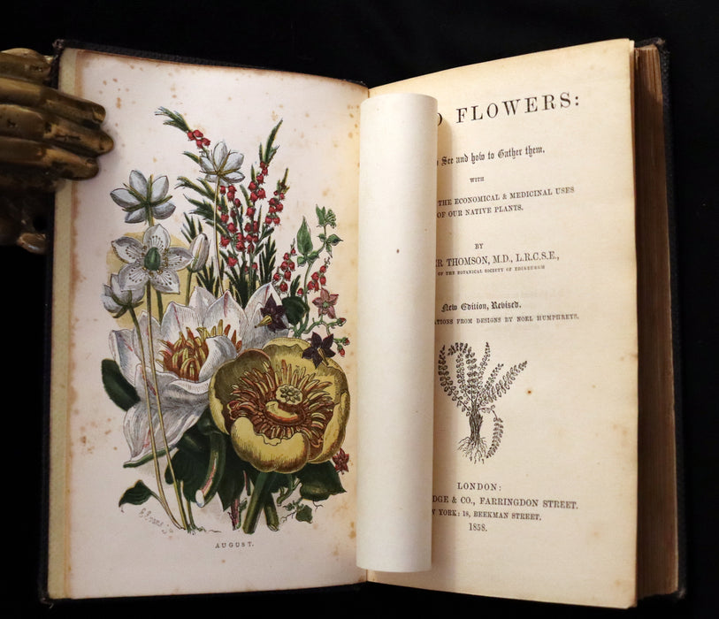 1858 Rare Book - Wild Flowers and Medicinal Uses color Illustrated by Noel Humphreys.