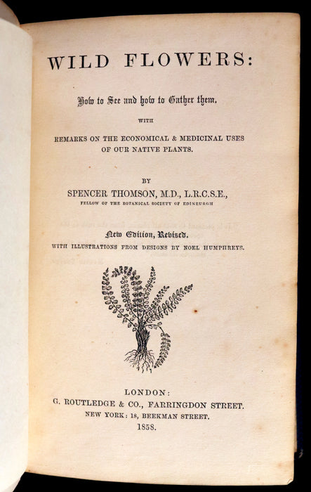 1858 Rare Book - Wild Flowers and Medicinal Uses color Illustrated by Noel Humphreys.