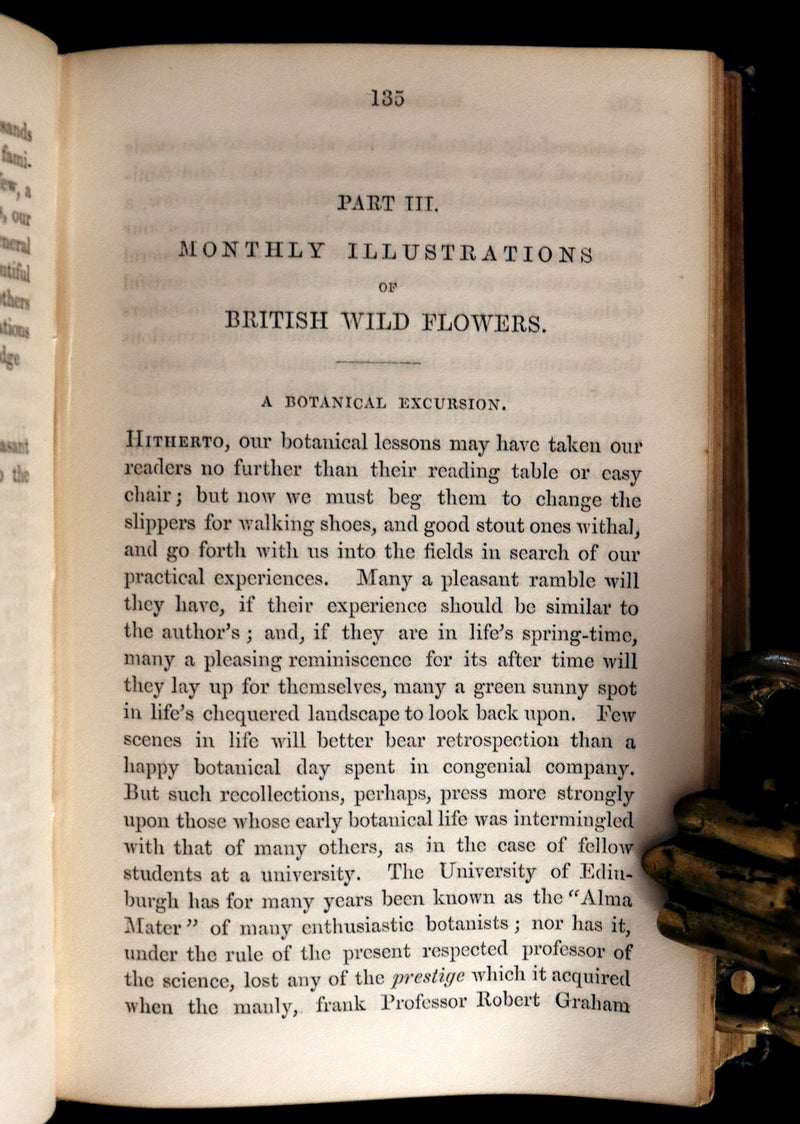 1858 Rare Book - Wild Flowers and Medicinal Uses color Illustrated by Noel Humphreys.