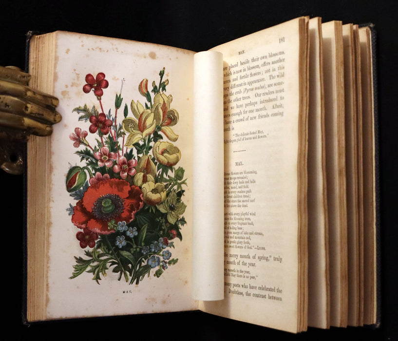 1858 Rare Book - Wild Flowers and Medicinal Uses color Illustrated by Noel Humphreys.