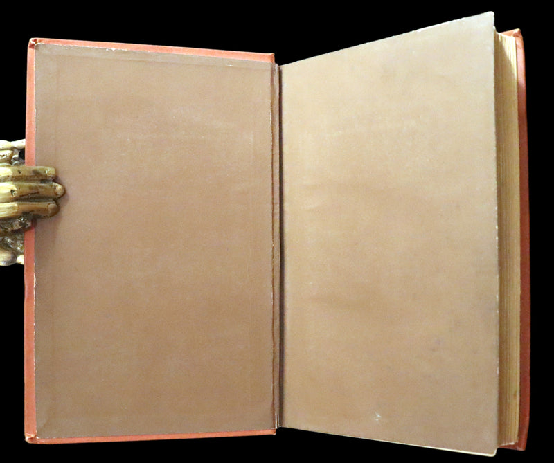 1880 Rare Book - Gulliver's Travels Into Several Remote Nations of the World. Illustrated.