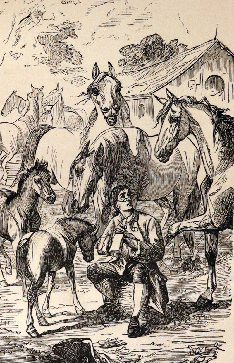 1880 Rare Book - Gulliver's Travels Into Several Remote Nations of the World. Illustrated.