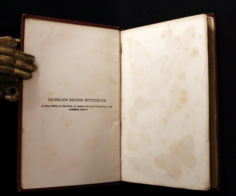 1860 Scarce Book - British Butterflies, Figures and Descriptions of Every Native Species by W. S. Coleman.