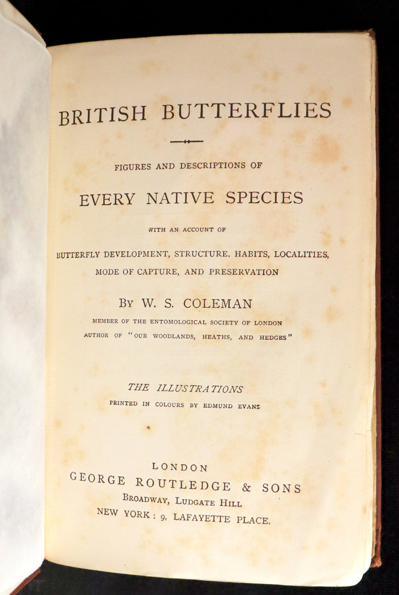 1860 Scarce Book - British Butterflies, Figures and Descriptions of Every Native Species by W. S. Coleman.