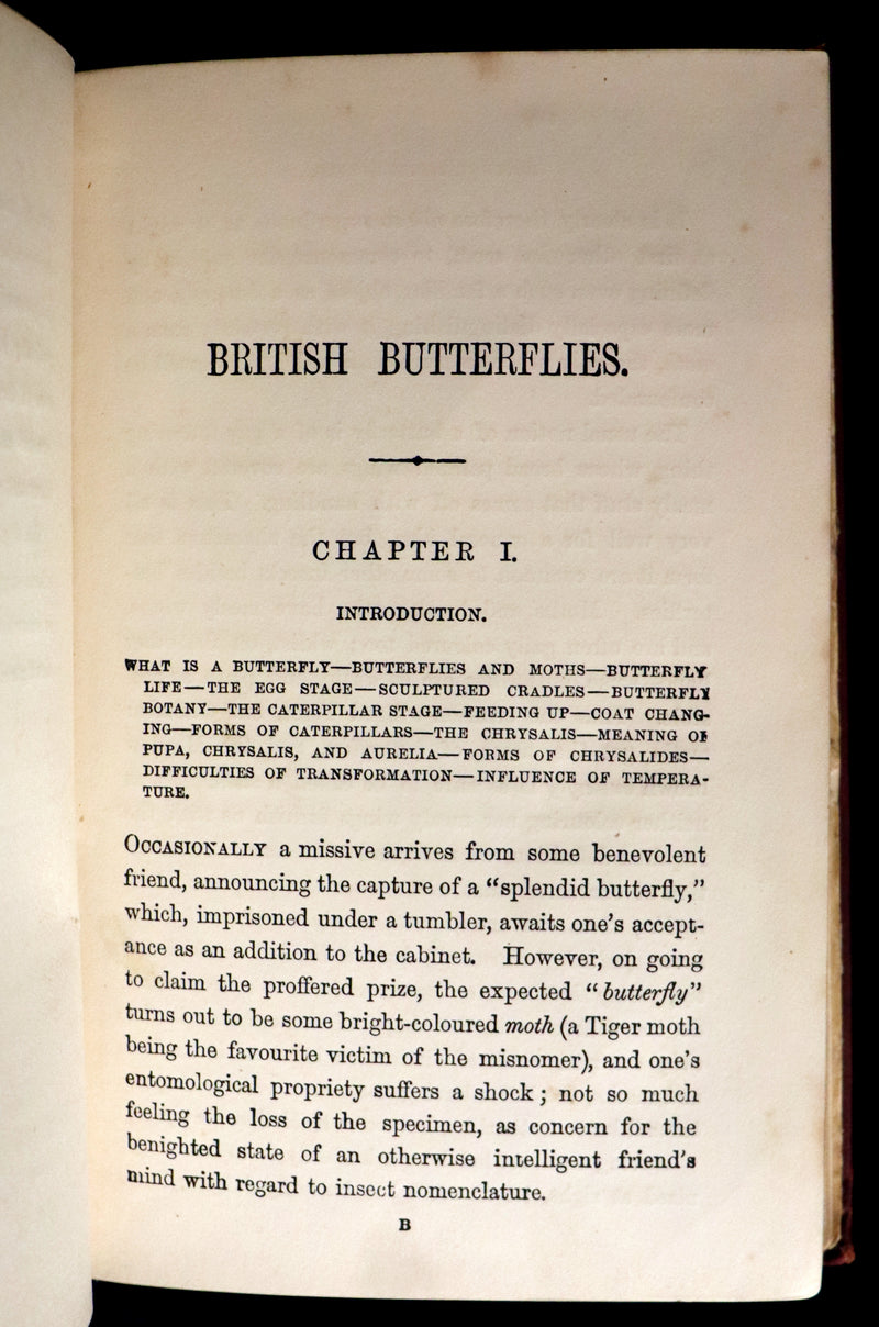 1860 Scarce Book - British Butterflies, Figures and Descriptions of Every Native Species by W. S. Coleman.