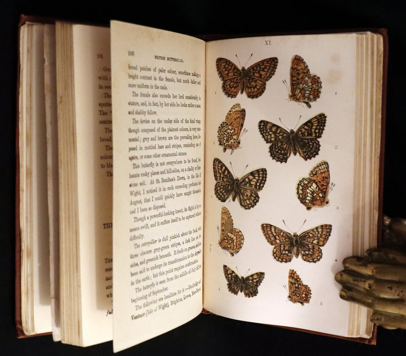 1860 Scarce Book - British Butterflies, Figures and Descriptions of Every Native Species by W. S. Coleman.